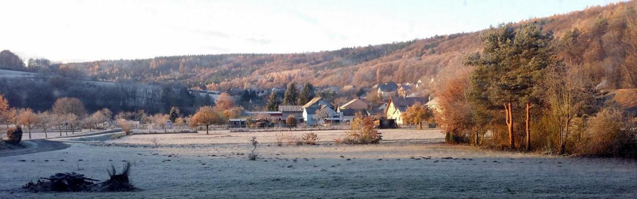 Landgasthof Zum Hirschen Hafenlohr Extérieur photo